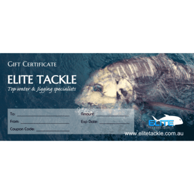 Gift Certificate - $100