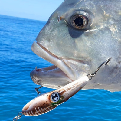 Tuna General > Trolling Lures Archives - Elite Fishing Tackle Shop